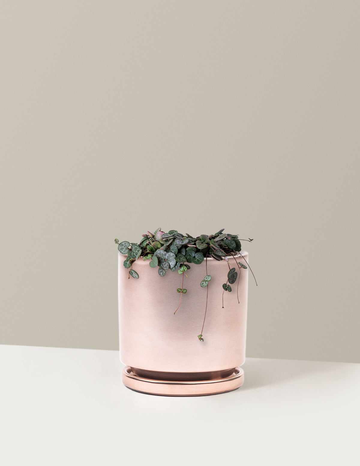 String of Hearts (Kalp Kalbe Karşı)