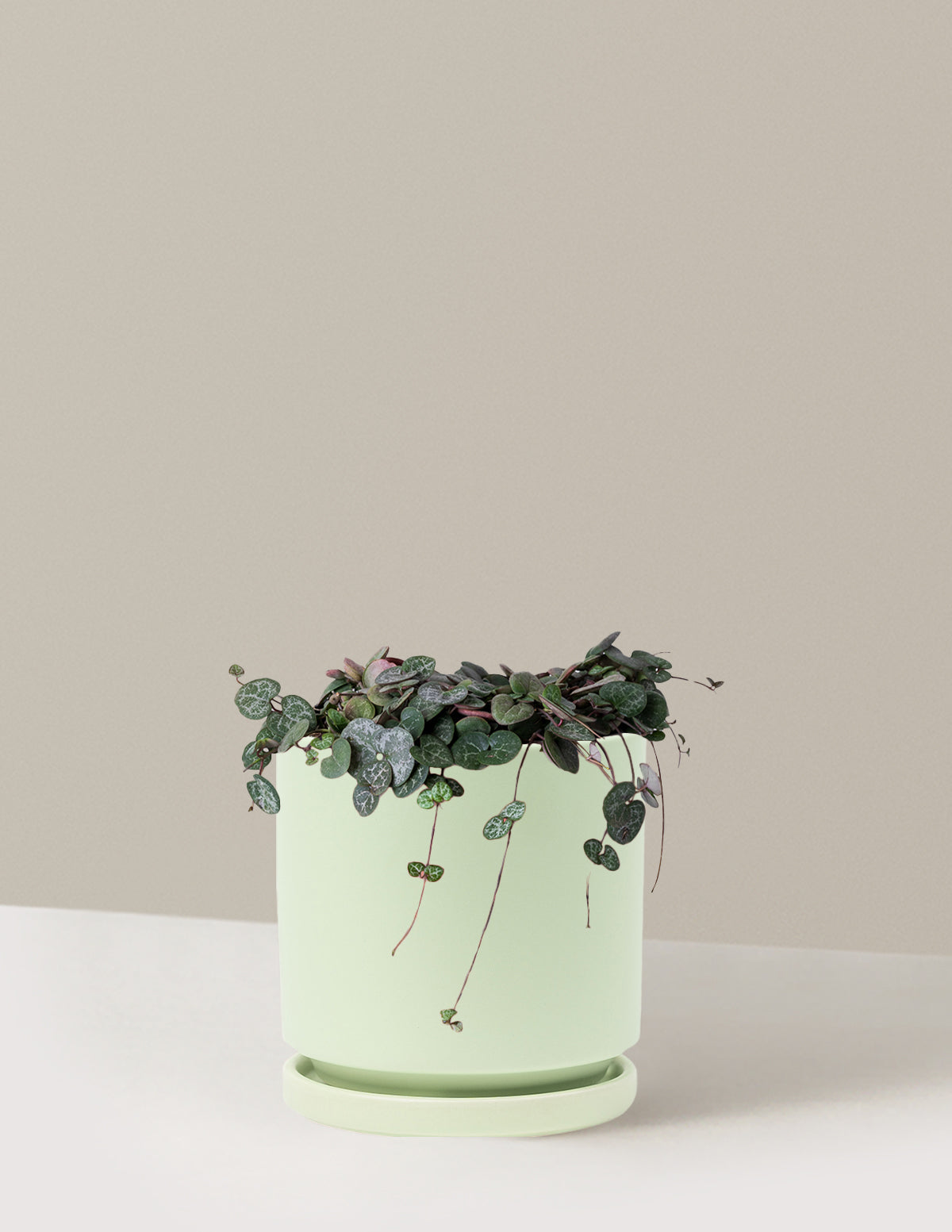 String of Hearts (Kalp Kalbe Karşı)