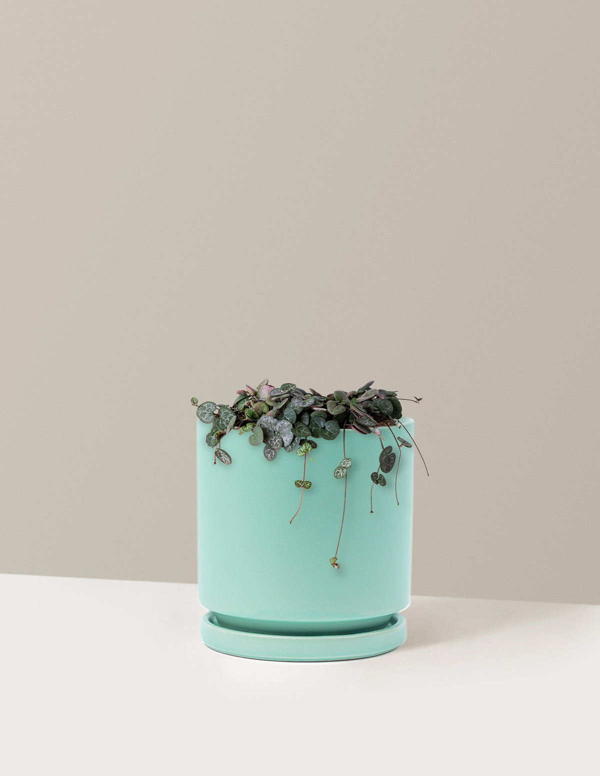 String of Hearts (Kalp Kalbe Karşı)