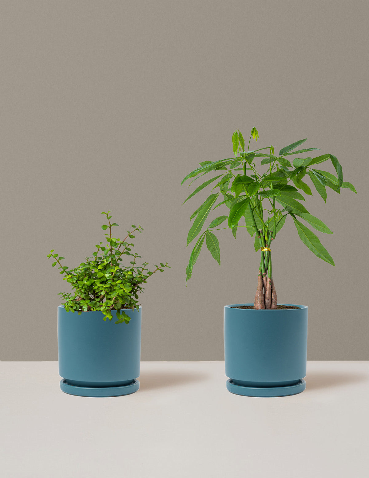 Prosperity Duo