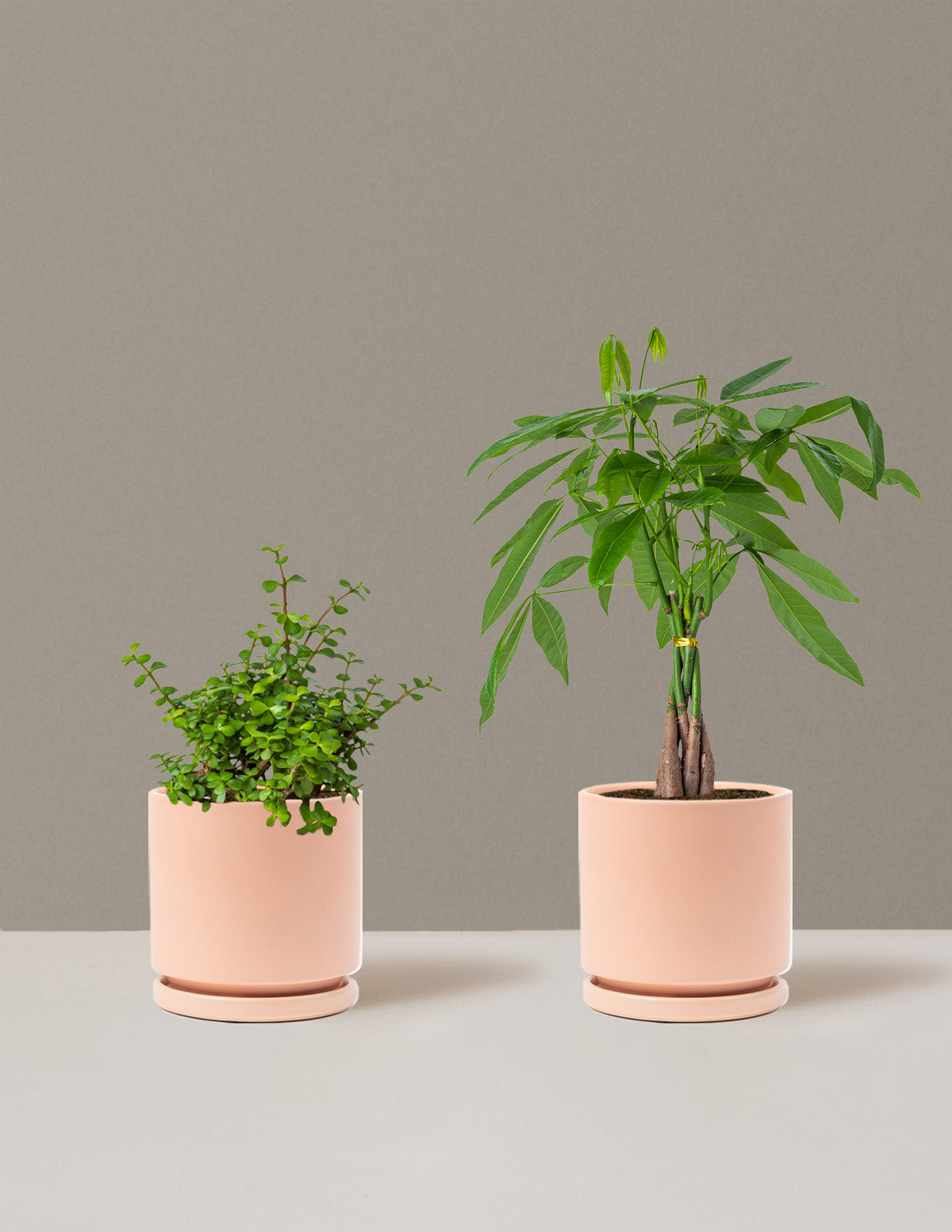 Prosperity Duo