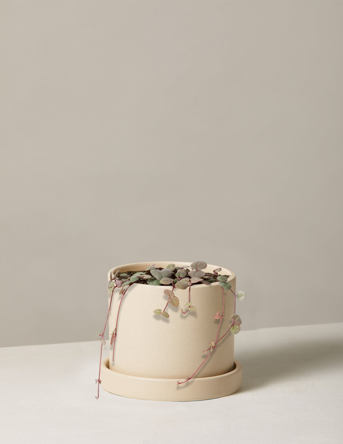 String of Hearts (Kalp Kalbe Karşı)