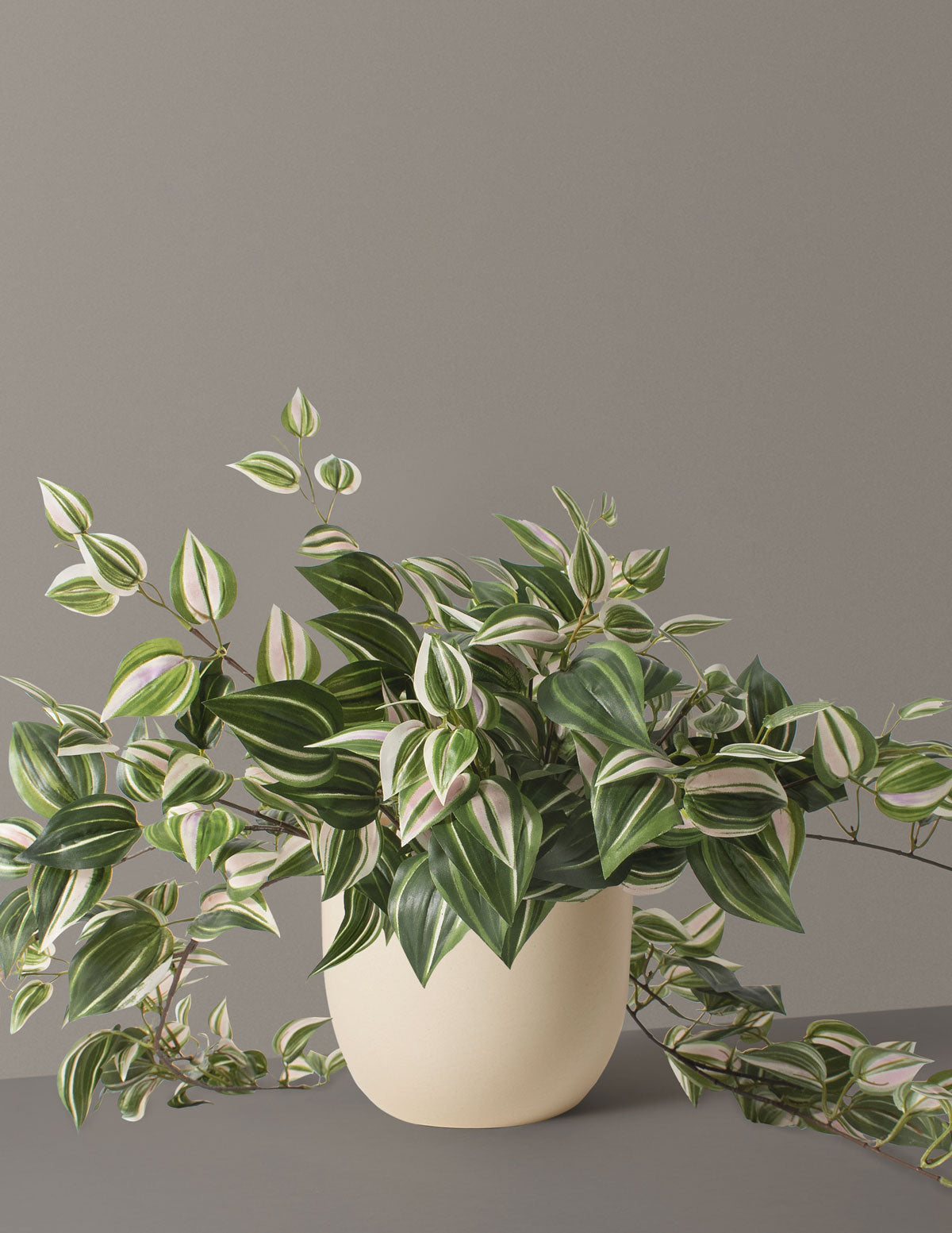 Yapay Tradescantia Zebrina