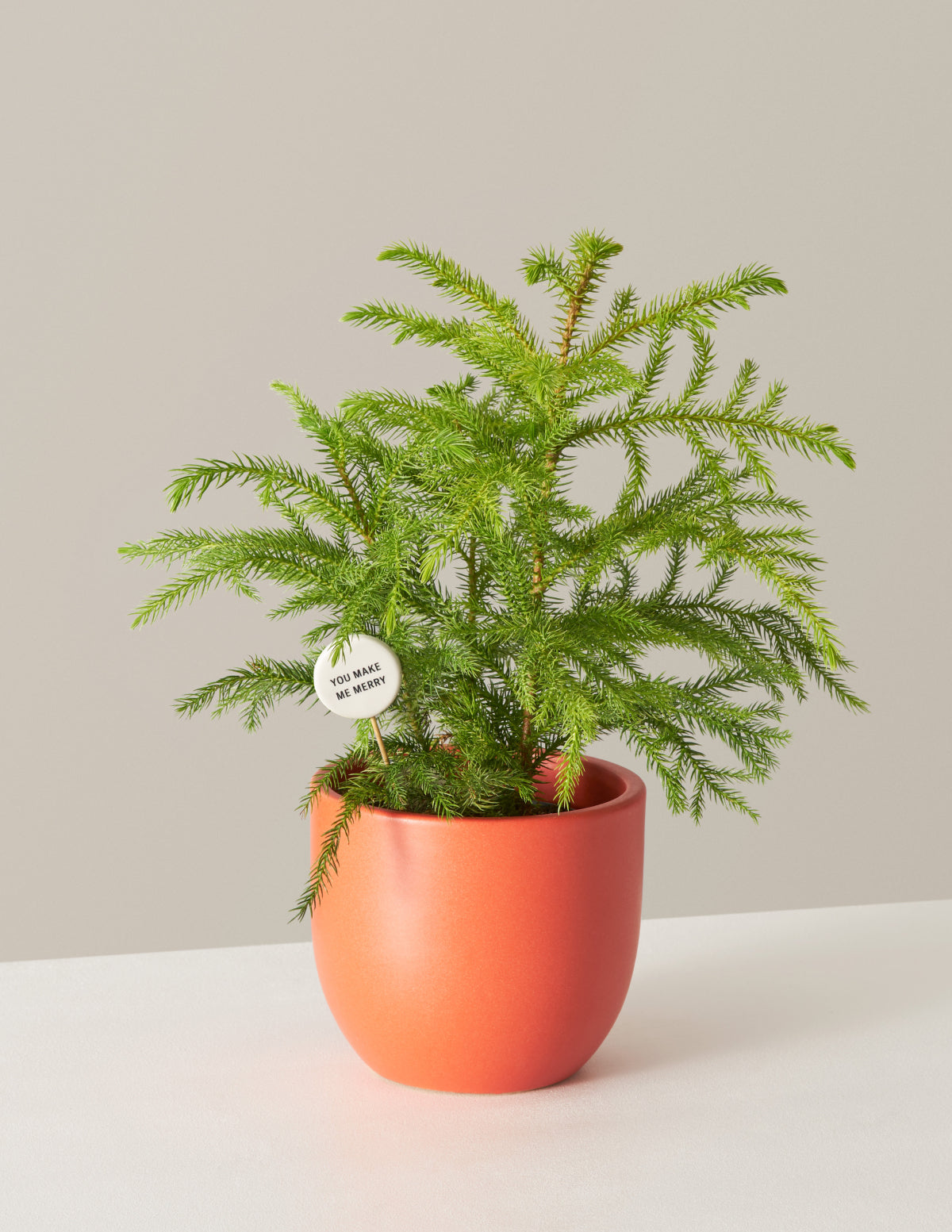 Merry and Bright İkili Set