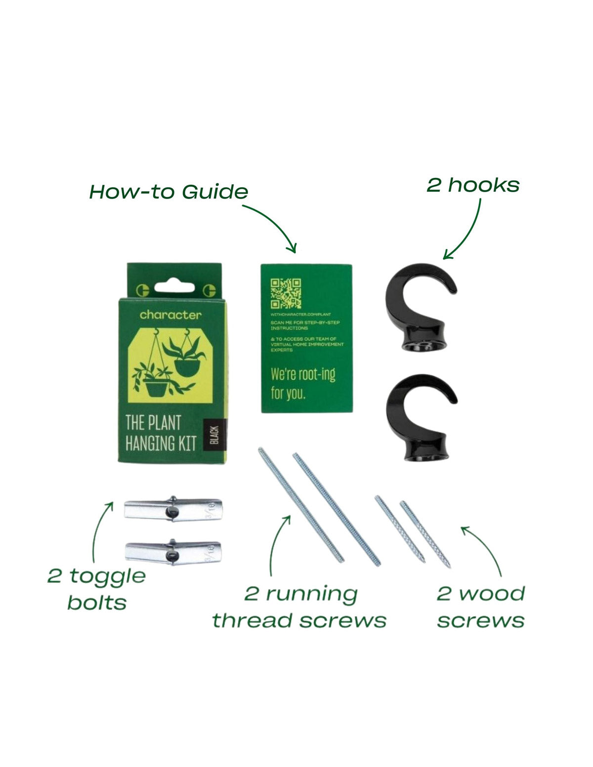 Tavus Kuşu Eğreltisi (Peacock Fern) Askılı Sepet