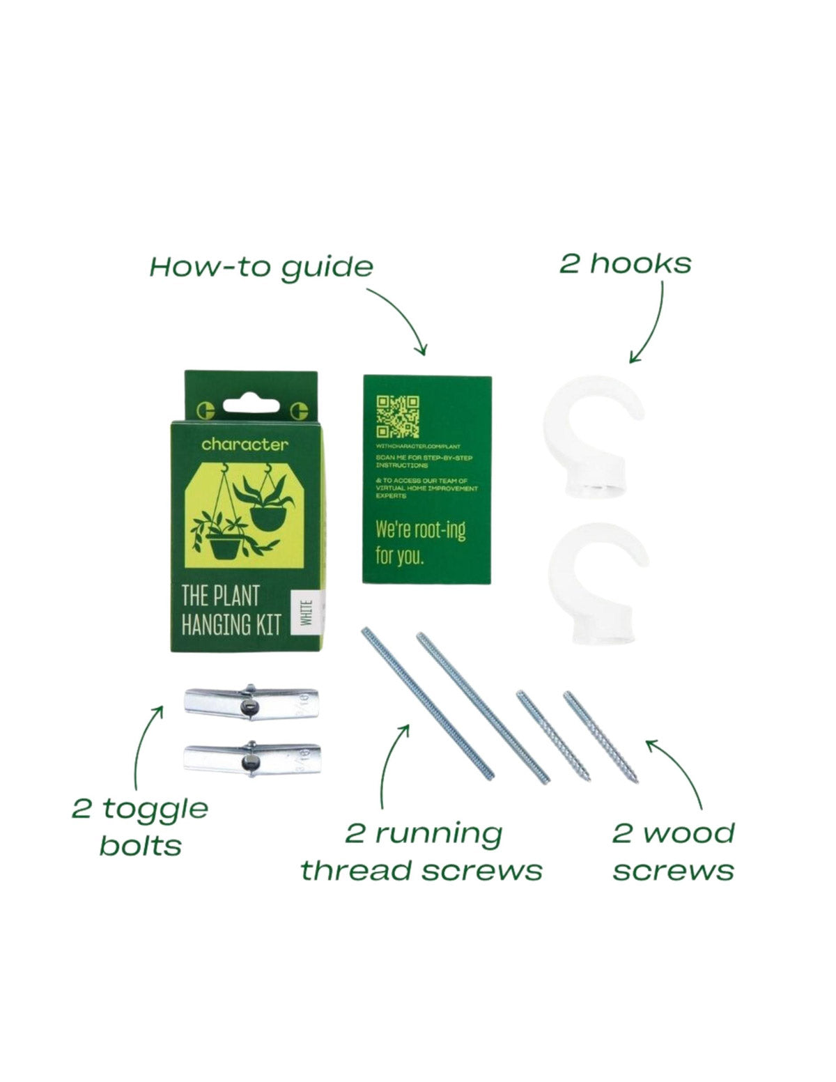 Tavus Kuşu Eğreltisi (Peacock Fern) Askılı Sepet