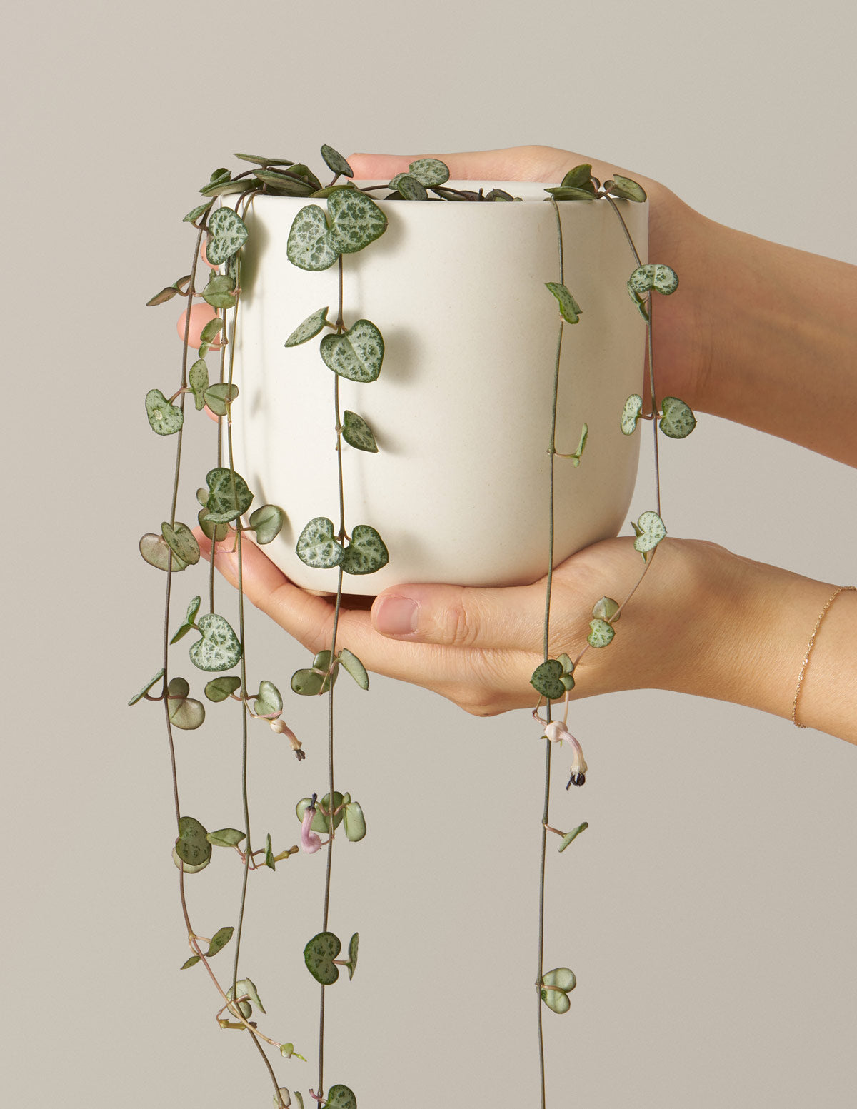 String of Hearts (Kalp Kalbe Karşı)