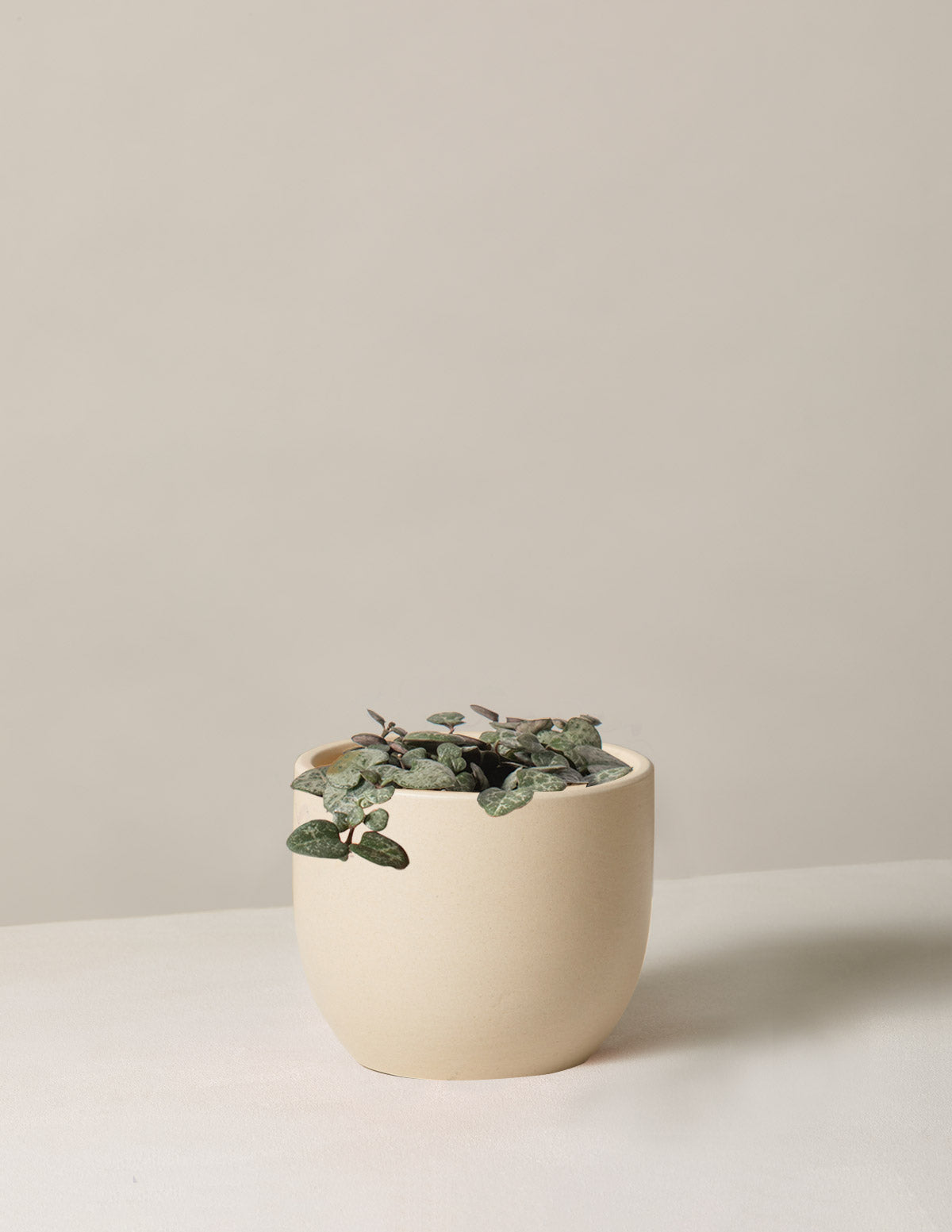 String of Hearts (Kalp Kalbe Karşı)